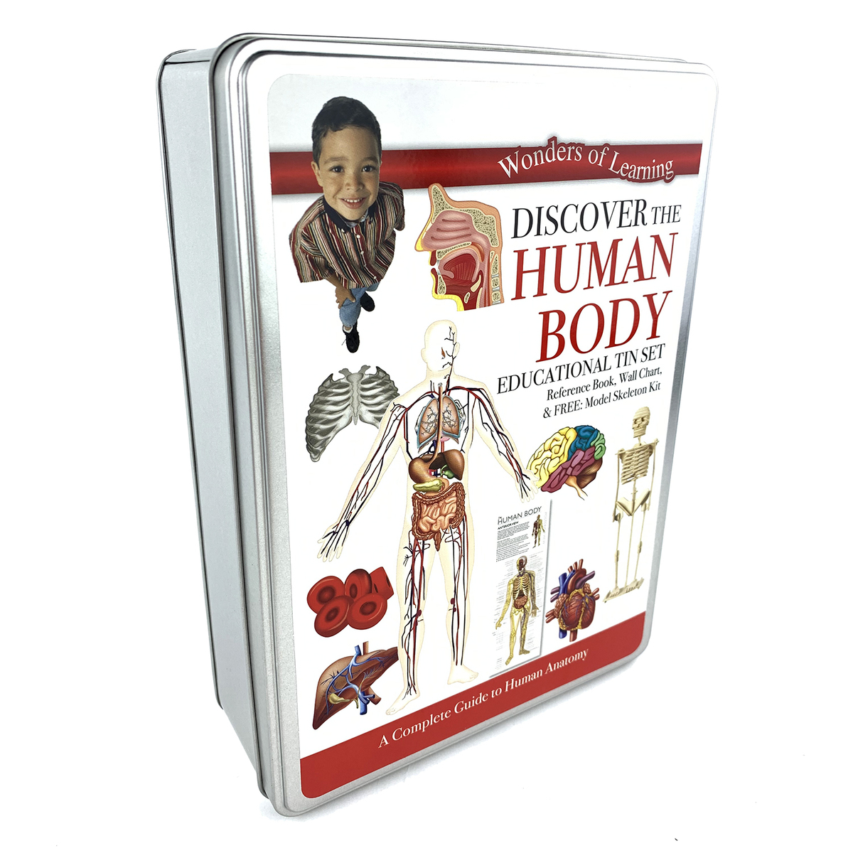Discover Human Body Tin Set The Complex World Of The Human Body