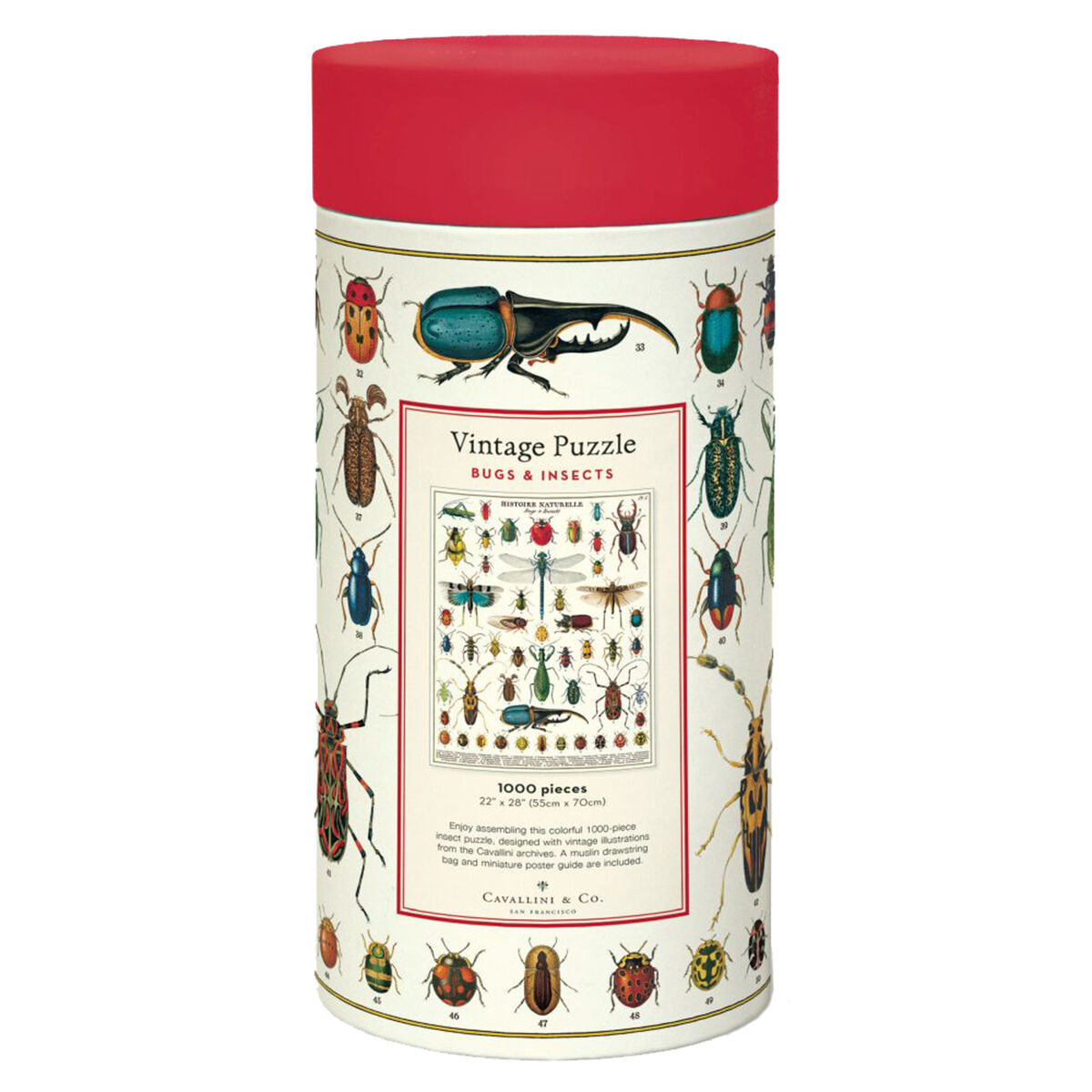 Bugs and Insects Vintage 1000pc Jigsaw Puzzle additional image