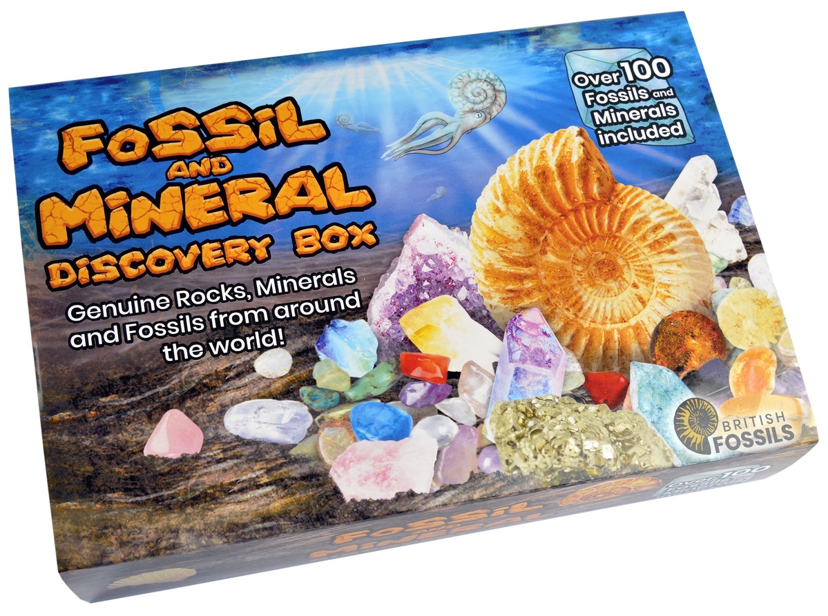 Fossil and Mineral Discovery Box additional image