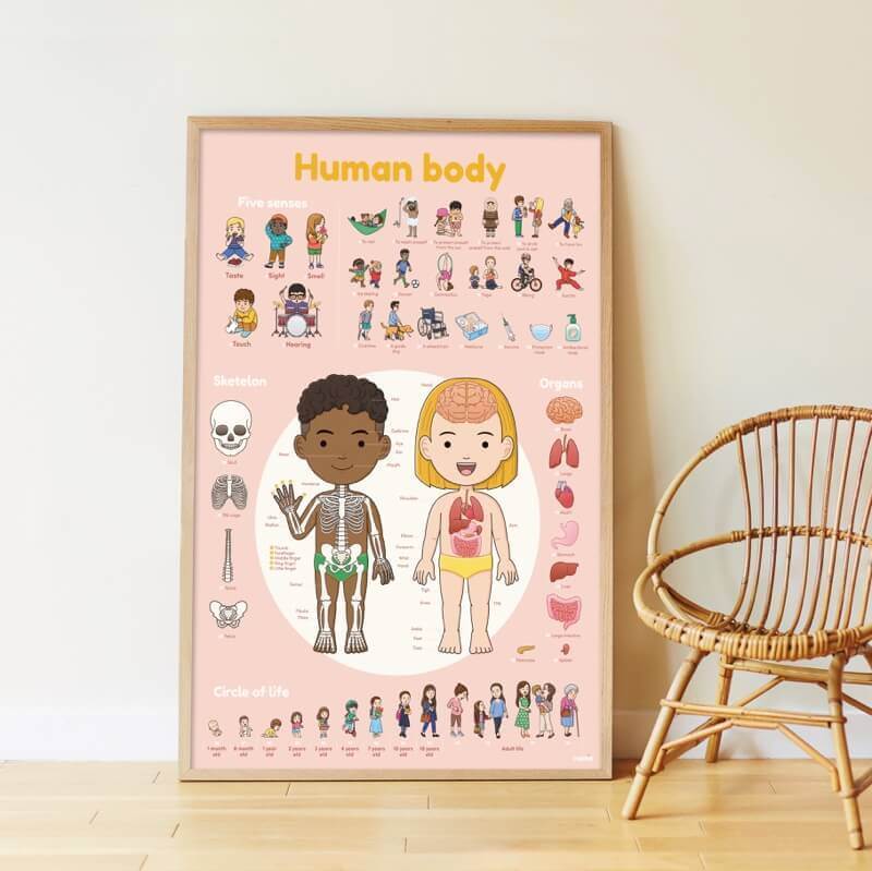 Human Body Poster with 49 Stickers additional image