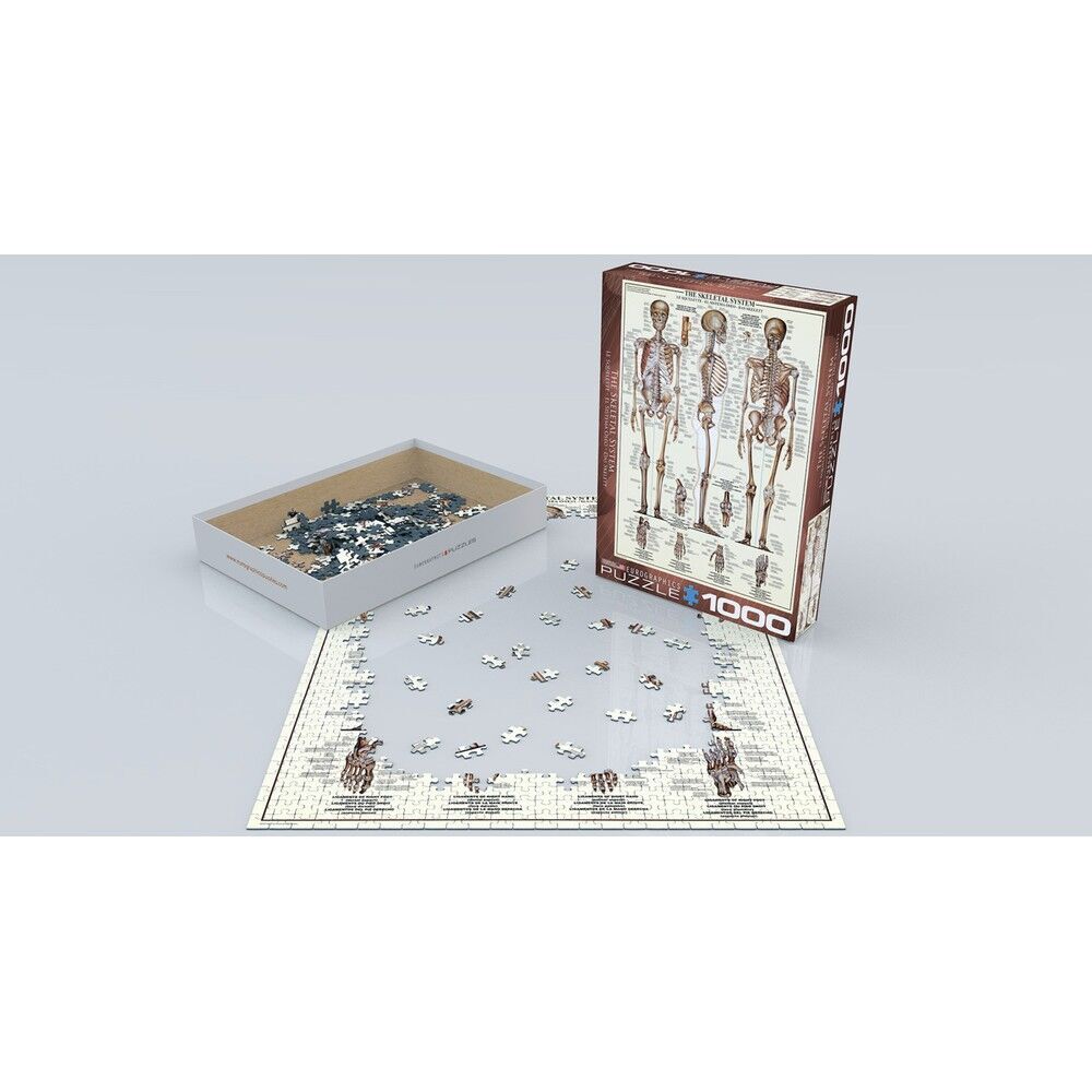 Skeletal System 1000pc Jigsaw Puzzle additional image
