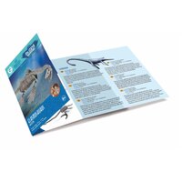 Elasmosaurus Excavation kit additional image