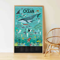 Animals of the Oceans Illustrated Poster with 59 Stickers additional image