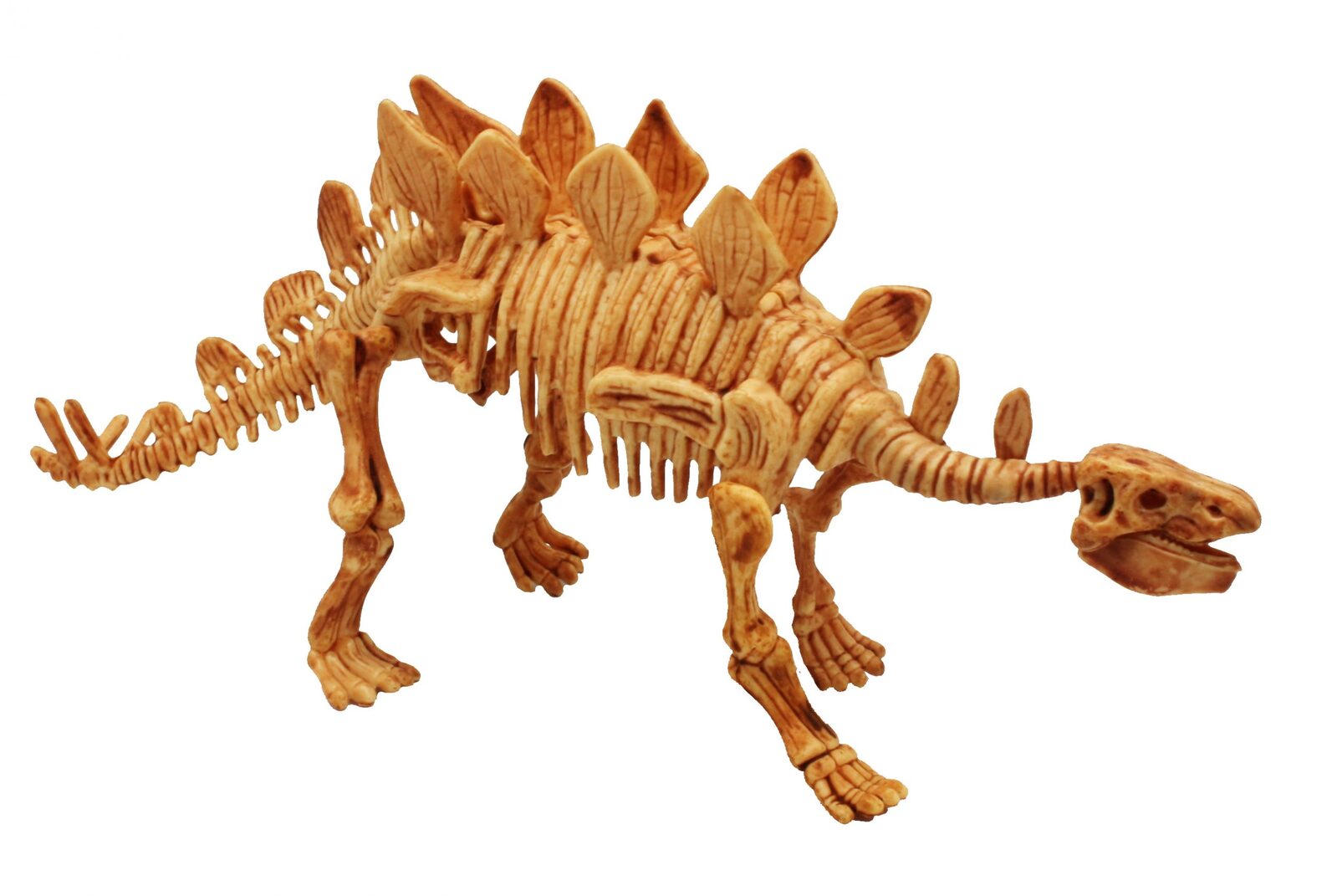 Stegosaurus Excavation Kit additional image