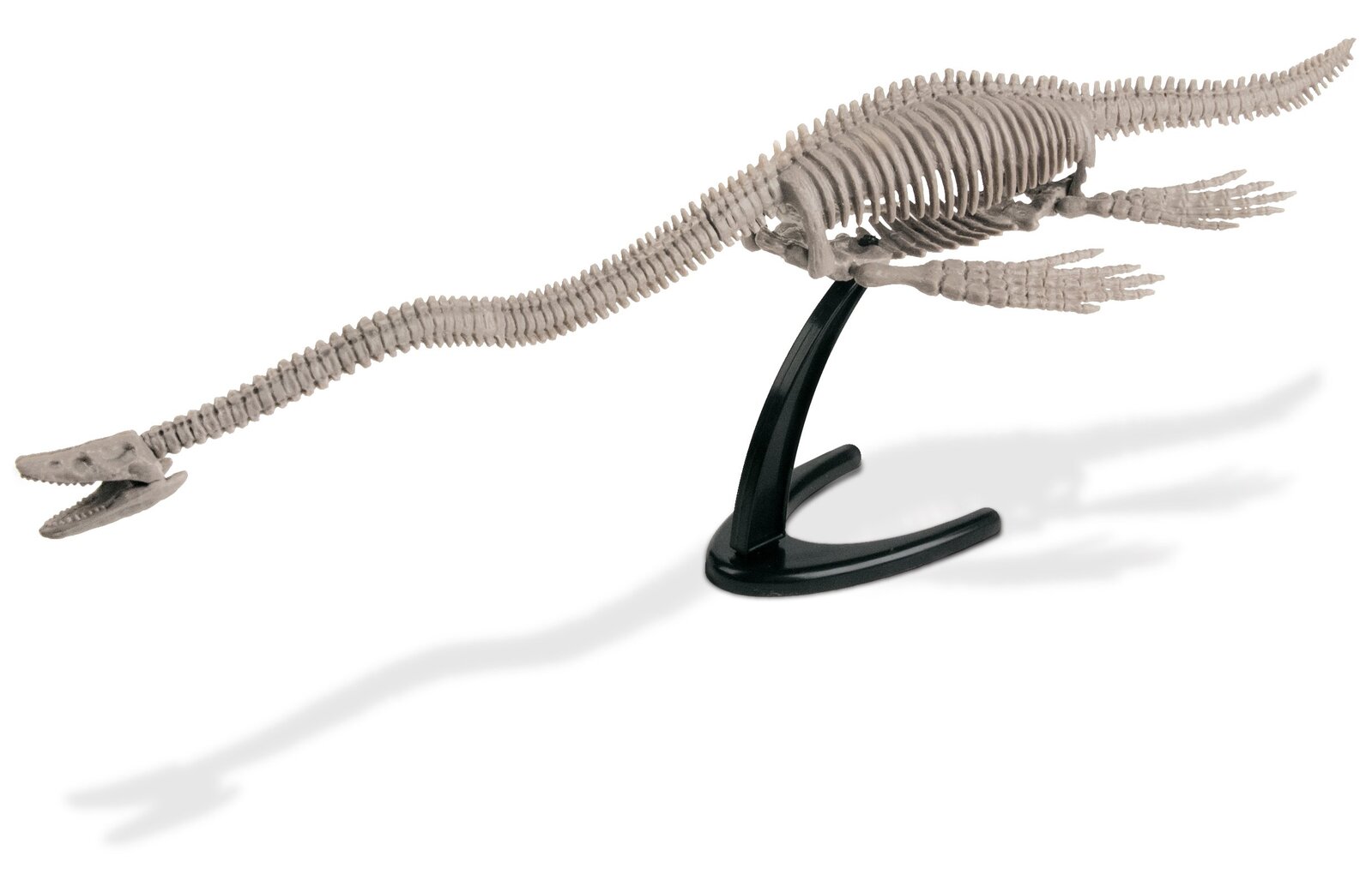 Elasmosaurus Excavation kit additional image