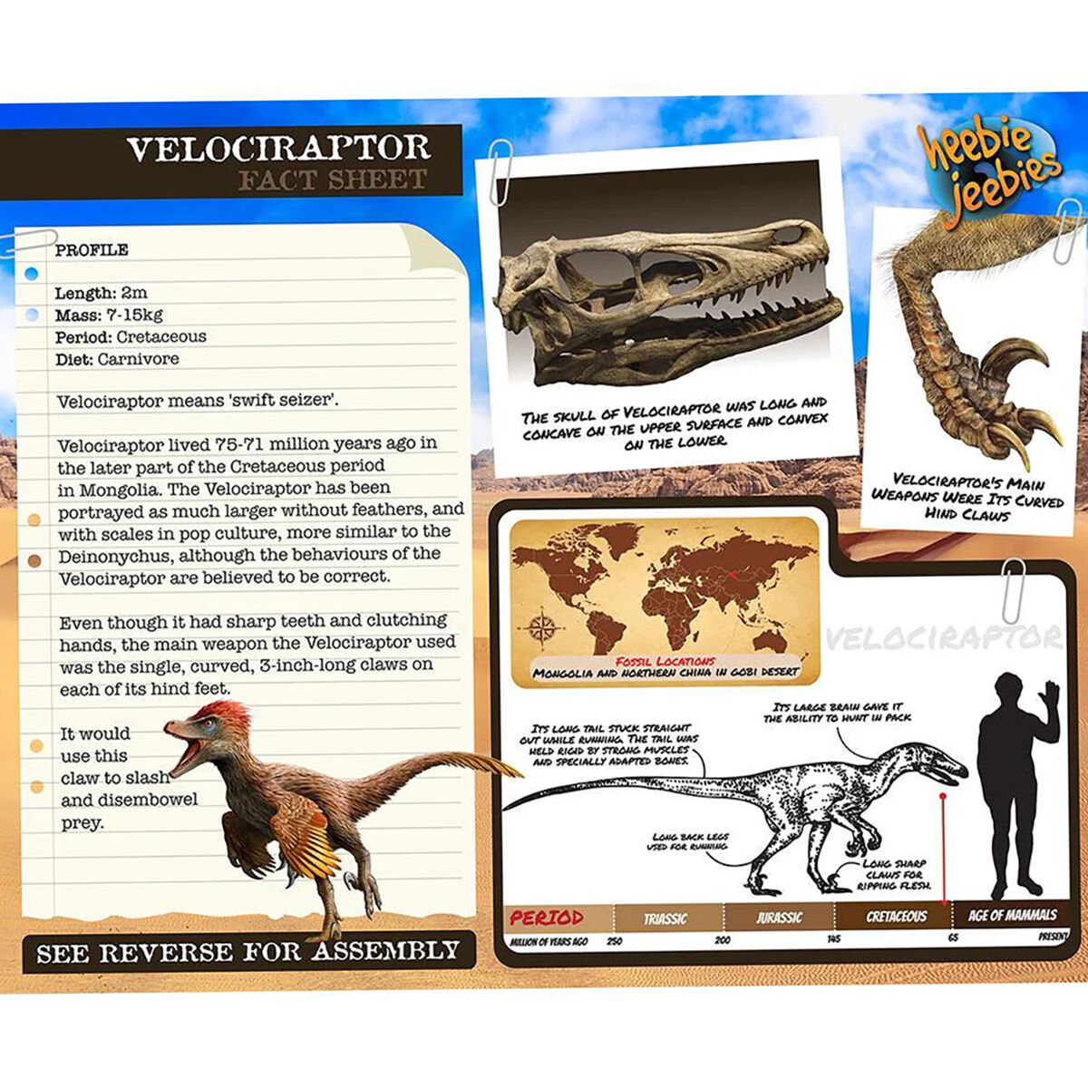 Wooden Dinosaur Small Velociraptor additional image