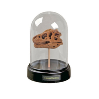 Dig and Display Miniature Dinosaur Skull additional image