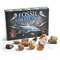 Fossil Collection Kit additional image