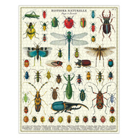 Bugs and Insects Vintage 1000pc Jigsaw Puzzle additional image