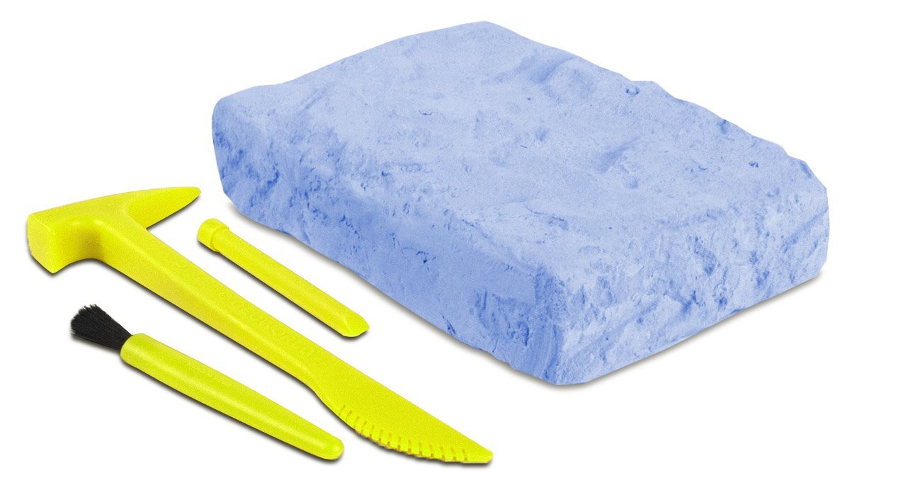 Elasmosaurus Excavation kit additional image