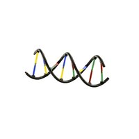 Genetics & DNA  additional image