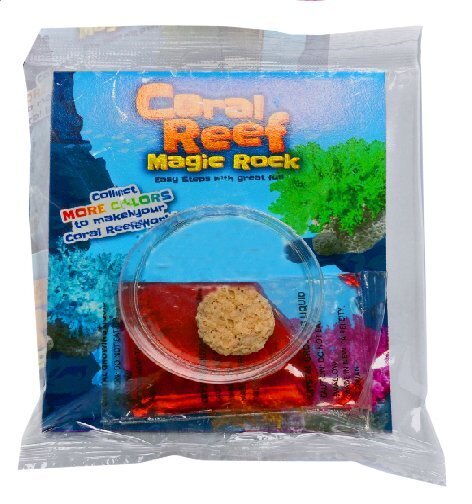 Coral Reef Magic Rock image