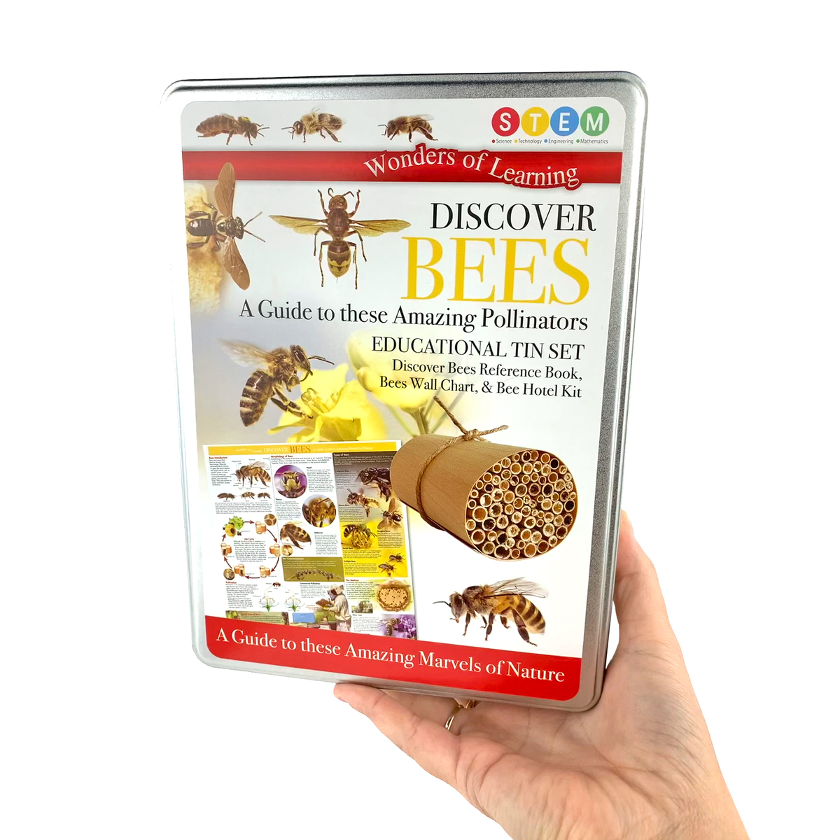 Discover Bees image