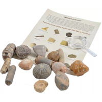 Fossil Collection Kit