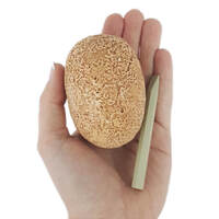 Dino Egg Dig  Product main image