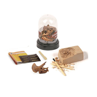 Dig and Display Miniature Dinosaur Skull Product main image