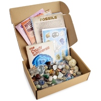 Fossil and Mineral Discovery Box Product main image