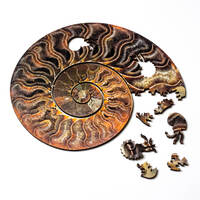 Ammonite Wooden Puzzle