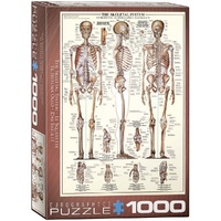 Skeletal System 1000pc Jigsaw Puzzle Product main image