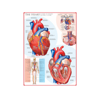The Heart 1000pc Jigsaw Puzzle Product main image
