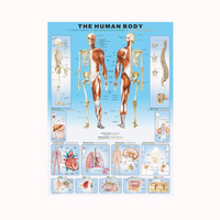 The Human Body 1000pc Jigsaw Puzzle Product main image