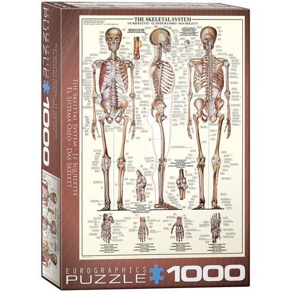 Skeletal System 1000pc Jigsaw Puzzle