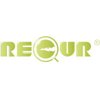 Recur image