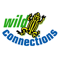 Wild Connections image