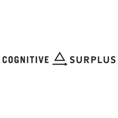 Cognitive Surplus image