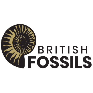 British Fossils image